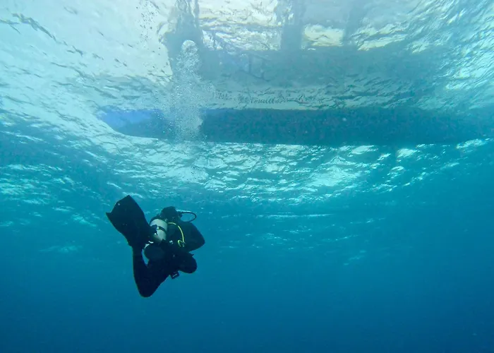 Little Mermaid Dive