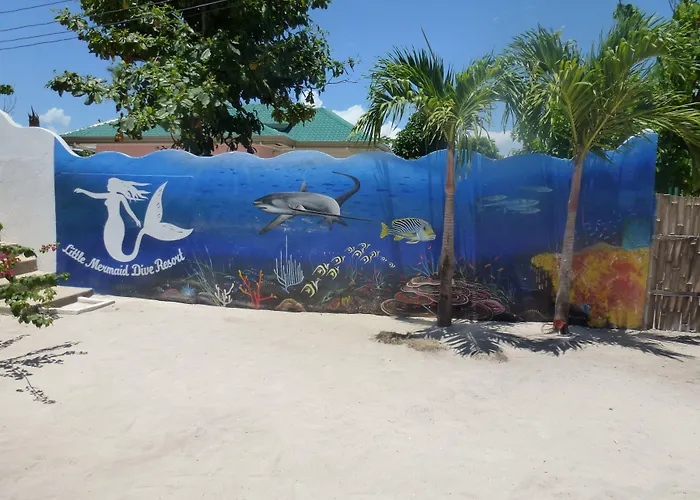 Station touristique Little Mermaid Dive Malapascua