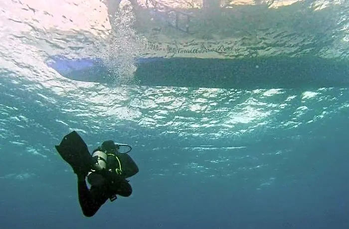 Little Mermaid Dive 3*